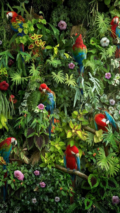 Macaw Wallpaper, Hd Quality Wallpapers, Types Of Parrots, Rio Party, Birds Photography, 4k Hd Wallpaper, British Birds, Macaw Parrot, Parrot Bird