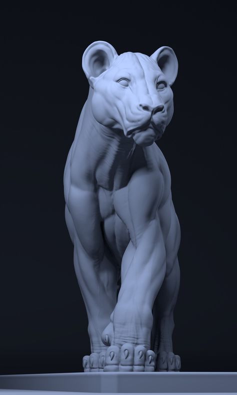 ArtStation - lion_study, Artur Gołębiowski Panther Anatomy, Structure Sketch, Lion Anatomy, Tiger Sculpture, Paw Drawing, Panther Sculpture, Ancient Drawings, Cat Anatomy, Tiger Paw