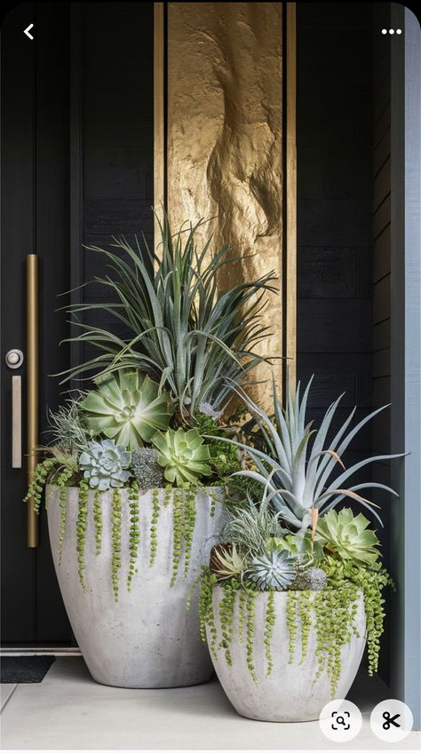 Landscaping Pots & Planters, Front Door Flowers Entrance, Succulent Pot Design, Front Door Steps Decor, Front Entrance Potted Plants, Succulent Pot Garden, Landscape With Flower Pots, Flower Pot Front Porch, Styling Outdoor Pots