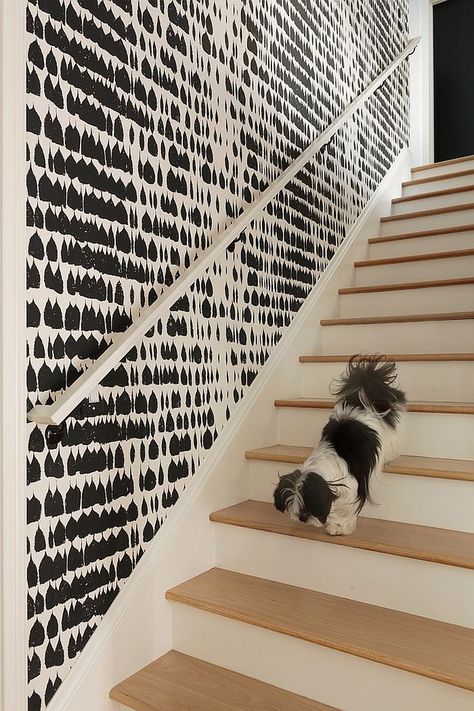 Graphic black and white wallaper adds chic beauty to the interior 16 Fabulous Ideas that Bring Wallpaper to the Stairway Staircase Wallpaper Ideas, Wallpaper Stairwell, Stairway Wallpaper, Staircase Wallpaper, Wallpaper Staircase, Wallpaper Hallway, Stairway Wall, Stairwell Wall, Wallpaper Stairs