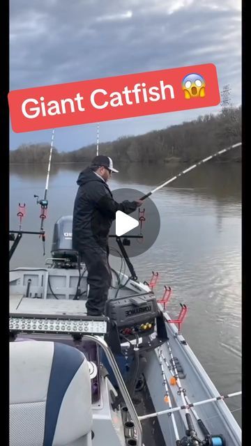 Kody Kennedy on Instagram: "MONSTER fight! MONSTER catfish! #fishing #catfish #bigfish #monsterfish  #catchandrelease" Fishing Catfish, Big Catfish, Tuna Fishing, Catfish Fishing, Monster Fishing, Catching Fish, Fishing Life, Big Fish, Funny Animal Pictures