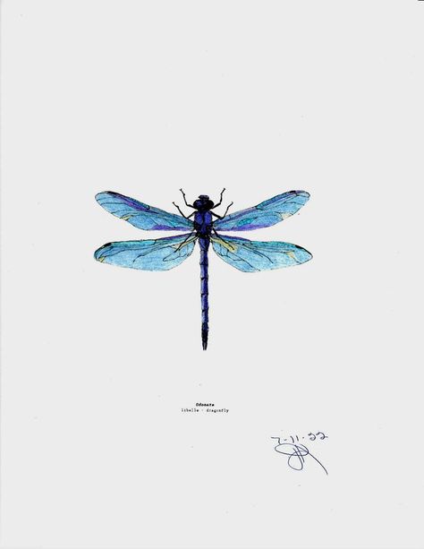 Small Dragonfly Tattoo, Bluebird Tattoo, Dragonfly Drawing, Fly Drawing, Minimalist Tattoo Ideas, Dragonfly Tattoo Design, Colorful Dragonfly, Taurus Tattoos, Small Meaningful Tattoos