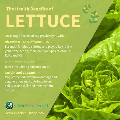 The Health Benefits of Lettuce Benefits Of Lettuce, Personalized Nutrition, Vitamin K, Bone Health, Fruit And Veg, Menu Planning, Nutrition Information, Food Diary, Food Menu