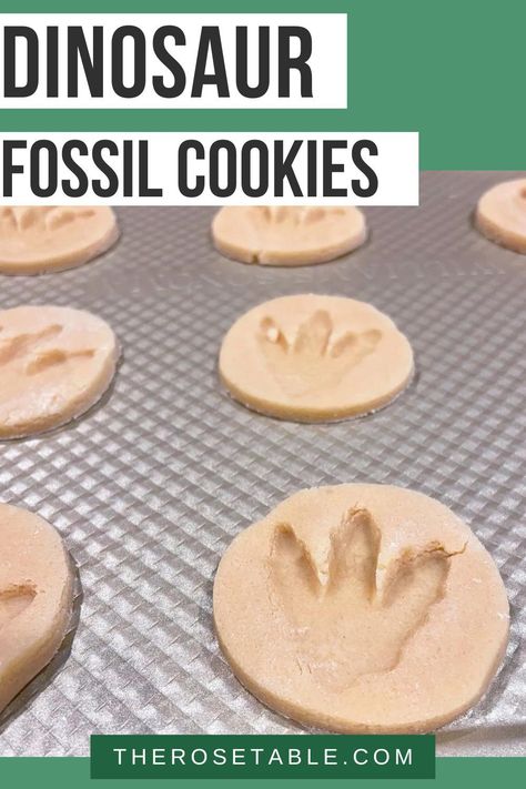 Dinovember Ideas, Fossil Cookies, Trex Party, Chocolate Dinosaur, Dinosaur Snacks, Dinosaur Ideas, Basic Sugar Cookie Recipe, Dinosaurs Preschool, Dinosaur Cookies