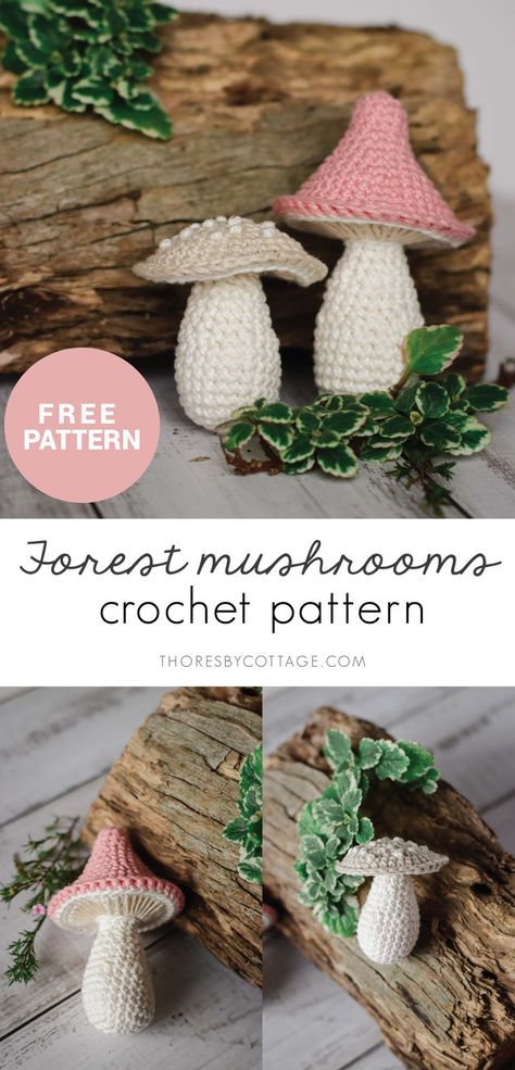 Crochet Mushroom Pattern, Crochet Mushrooms, Mushroom Pattern, Crochet Mushroom, Crochet Animals Free Patterns, Crochet Plant, Beginner Crochet Projects, Stitch Crochet, Fun Crochet Projects