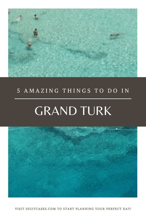 5 Amazing Things to do in Grand Turk While on a Cruise - 5 Suitcases Costa Maya, Tropical Fish, Kneeboarding, Grand Turk, Port Area, Cruise Excursions, Swim Up Bar, Cruise Port, Island Tour