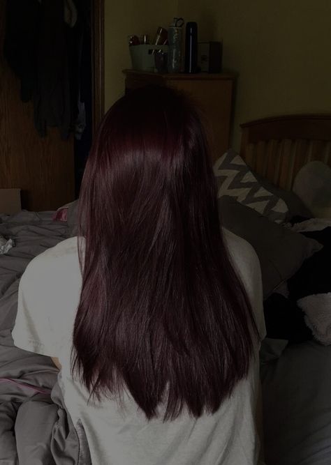 Deep Red On Black Hair, Dark Red Emo Hair, Very Dark Burgundy Hair, Dark Cherry Red Hair Box Dye, Dark Redish Purpleish Hair, Black Hair That Looks Red In The Sun, Dark Purplish Red Hair, Dark Red Chocolate Hair, Black Cherry Hair Color Pale Skin