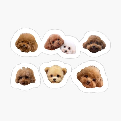 Get my art printed on awesome products. Support me at Redbubble #RBandME: https://www.redbubble.com/i/sticker/cute-poodle-by-Natkik/161998569.JCQM3?asc=u
#poodlestickers #dogstockers #cutepoodle #cutedog #cutepuppy #adorablepuppy #adorabledog #redpoodle #cutedosandpuppues #cutedogaccesories #cutedogaesthetic #cutedogandcat #cutedogphoto #poodlehaircutstyle #poodletattoo #poodlecats #poodleart #cavadoodle #cavapuppy Poodle Sticker, Poodle Haircut Styles, Poodle Tattoo, Cute Poodle, Dog Accesories, Red Poodles, Cute Dog Photos, Cute Cats And Dogs, Mask For Kids