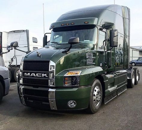 Women Truck Driver, Green Truck, Trucks Lifted Diesel, Tractor Trailer Truck, Freight Truck, Show Trucks, Trucking Companies, Kenworth Trucks, Truck Interior