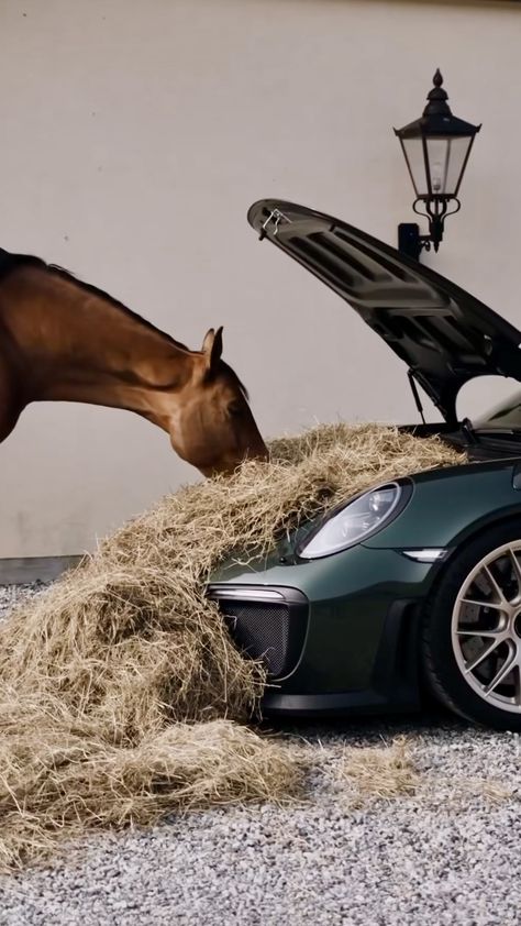 Luxury Service, Horse Wallpaper Aesthetic, Porsche Aesthetic Wallpaper, Equestrian Wallpaper, Horse Racing Aesthetic, Equestrian Aesthetic, Equestrian Chic, Good Looking Cars, Horse Aesthetic