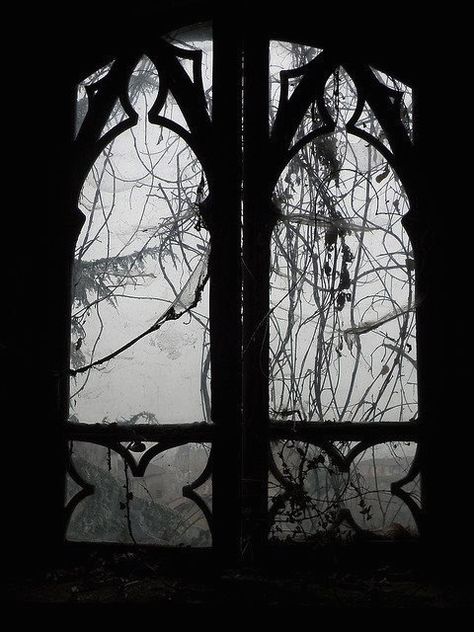 INVERNO GOTICO    Photo: Jonny D. G. Dark Windows, Deco Nature, Gothic Architecture, Dark Photography, Gothic Art, Dark Night, The View, Black And White Photography, Dark Aesthetic