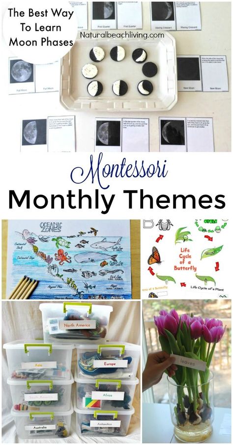 12 More Months of Montessori Monthly Themes, Montessori holiday activities, Seasons, Montessori tray ideas, Montessori Science, Preschool themes and more Montessori Monthly Themes, Seasons Montessori, Montessori Trays, Montessori Activities Preschool, Montessori Science, Montessori Books, Montessori Elementary, Montessori Lessons, Gratis Printables