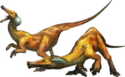 Monster Hunter Wiki, Monster Hunter 3rd, Dragon Bird, Monster Hunter Art, Body Structure, Monster Hunter, Creature Design, Beautiful Creatures, Dinosaurs