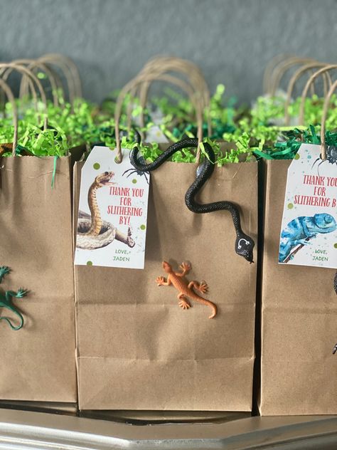 Safari Treat Bags, Reptile Dessert Table, Coyote Peterson Birthday Party, Reptiles Birthday Party Ideas, Lizard Party Ideas For Kids, Reptile Bday Party, Snake Theme Party, Snake Birthday Party Ideas, Reptile Party Decorations