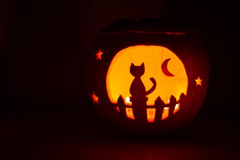 Cat And Moon Pumpkin Carving, Pumpkin Ideas Aesthetic, Witchy Pumpkin Carving Ideas, Moon And Stars Pumpkin Carving, Crow Pumpkin Carving, Witchy Pumpkin Carving, Cat Pumpkin Carving Ideas, Pumpkin Carving Ideas Cat, Cat Pumpkin Carving Stencils