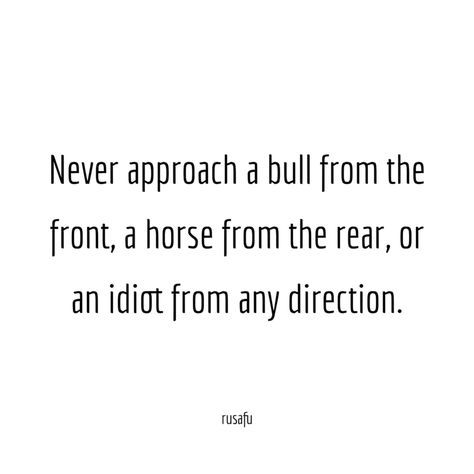 Never approach a bull from the front, a horse from the rear, or an idiot from any direction. - RUSAFU Petty Quotes Funny, Sarcasm Comebacks, Petty Quotes, Twix Cookies, Serious Quotes, Funny Pictures With Captions, Savage Quotes, Lovely Quotes, Almond Joy