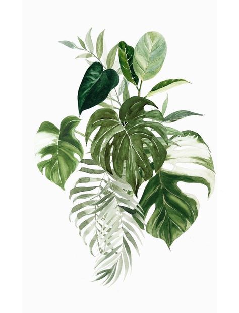 Painting On Canvas For Beginners, Canvas For Beginners, Plant Tattoo, Plant Painting, Flower Art Painting, Plant Art, Design Drawing, Leaf Art, Design Design