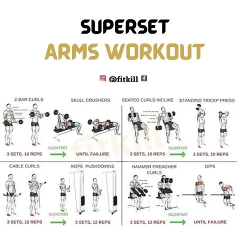 fitness_model on Instagram: "Superset Arms Workout FOLLOW 👉@fitness_model.1 🔥🔥 #armsworkout #supersetarms #bicepsworkout #tricepsworkout #workouttips #gymaddict #workouts #fitness #fitkill" Super Set Tricep Workout, Bicep Superset Workout, Superset Arms, Superset Arm Workout, Arm Workout Men, Superset Workout, Pull Day Workout, Workout Gym Routine, Arms Workout