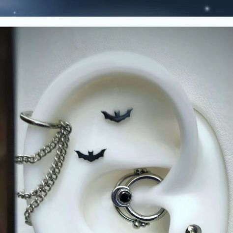 Opal Heart Piercing on Instagram: "Spooky season is officially here! 🎃What a perfect opportunity to show off some of our fabulous, implant grade titanium and niobium jewellery collection 😌 This festive ear curation features some of our favourite pieces by @intrinsicbody @dysmorphicbodyart and @zadamer_jewelry ✨ Gold is grand, but we love showing off our Ti and Nb too! Which piece is calling your name? (It's the double bats for us 🦇🦇)" Spooky Ear Curation, Niobium Jewellery, Piercing Stack, Ear Project, 2025 Manifestation, Ear Styling, Ear Ideas, Ear Curation, Heart Piercing