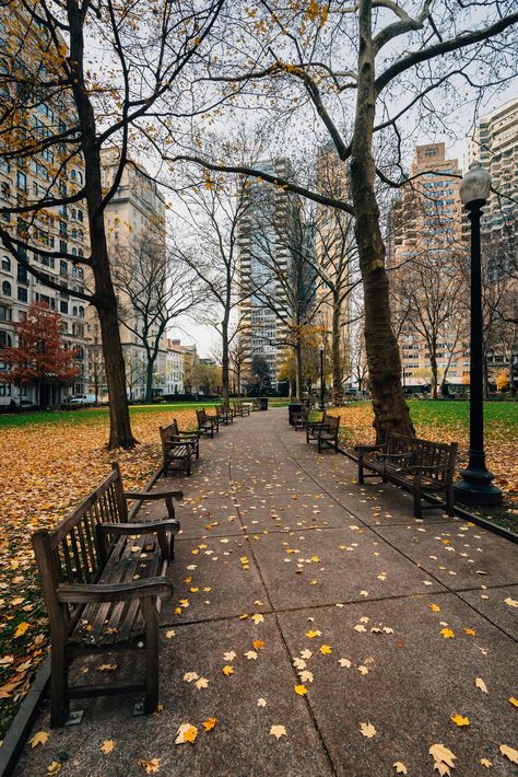 Autumn color and walkway at Rittenhouse Square Park, in Philadelphia, Pennsylvania Rittenhouse Square, Hotel Motel, Posters Framed, Philadelphia Pennsylvania, Autumn Aesthetic, City Aesthetic, Party City, City Girl, Image House