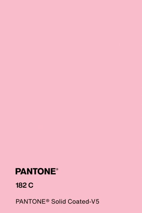 #pantone #pink #color #pantone182c Pantone Solid Coated, Pink Pantone, Glossier Pink, Celebrity Outfits, Quince, Soft Colors, Color Palettes, Soft Pink, Pink Color