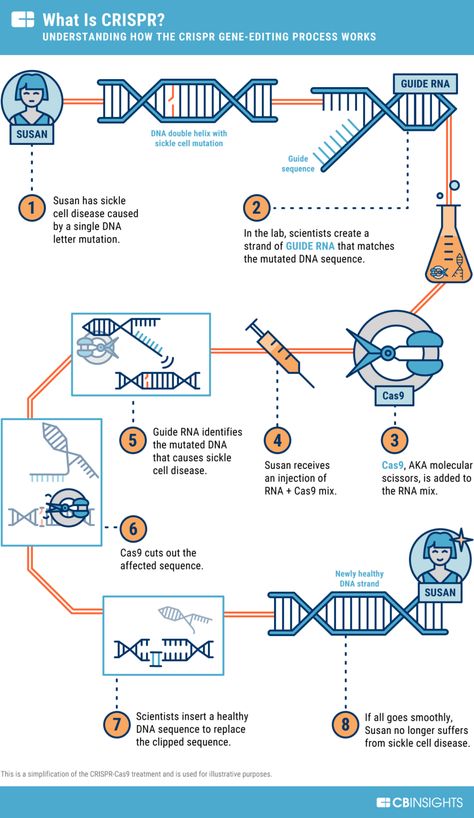 Crispr Cas9, Molecular Genetics, Digital Healthcare, Study Biology, Biology Classroom, Medical Student Study, Medical Laboratory Science, Biomedical Science, Biology Lessons