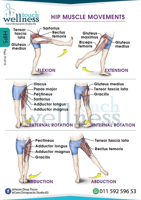 Punkty Spustowe, Physical Therapy School, Human Muscle Anatomy, Physical Therapy Student, Guided Relaxation, Physical Therapy Assistant, Basic Anatomy And Physiology, Yoga Anatomy, Physical Therapy Exercises