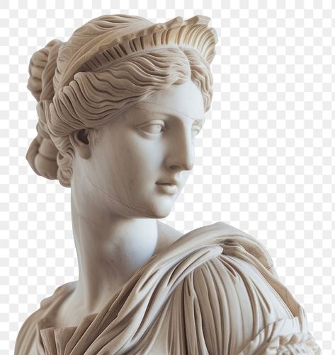 Venus Sculpture, Venus Of Milo, Italian Statues, Sculpture Woman, Neo Tattoo, Classic Sculpture, Greek Statues, Statue Art, Ancient Sculpture