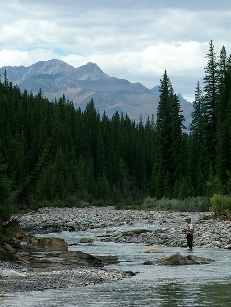 trees Fishing Aesthetic, Fly Fishing Tips, Fishing Techniques, Mountain Stream, Gossip News, Gone Fishing, Fish Camp, Trout Fishing, Best Fishing