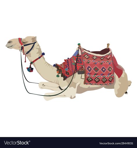 Camel Painting, Transparent Png, Png Images, Saddle, Adobe Illustrator, White Background, Camel, Print On Demand, Vector Images