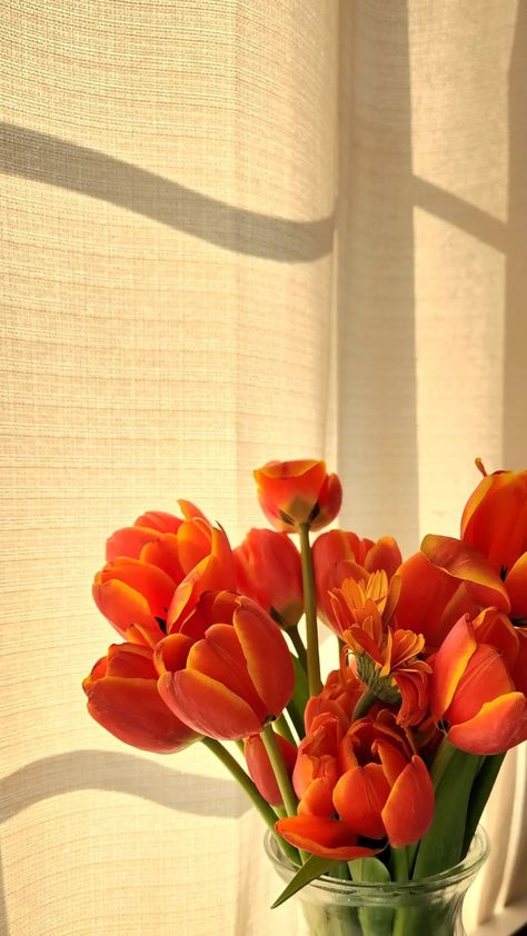 Orange Tulips Aesthetic Wallpaper, Orange Tulips Aesthetic, Orange Tulips Wallpaper, Orange Mood Board, Orange Flowers Wallpaper, Tulips Orange, Fleur Orange, Orange Tulips, Boquette Flowers