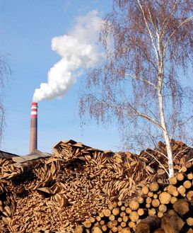 What is “biomass” and why is it controversial as a potential source of energy? Biomass Boiler, Physics Projects, Biomass Energy, Coal Plant, Thermal Energy, Renewable Sources, Wood Pellets, Fossil Fuels, Energy Use