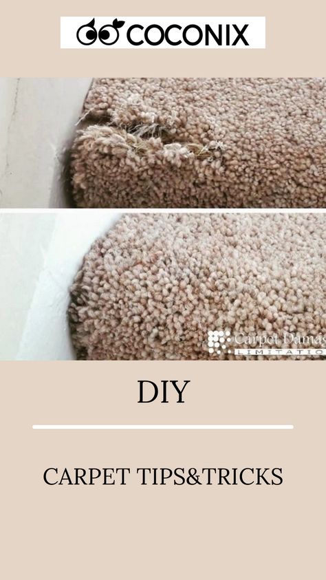 Tearing Up Carpet, Fixing Carpet From Cat, Fix Carpet From Cat, How To Tear Up Carpet, Matted Carpet Revive, Patching Carpet Diy, Carpet Patch Repair, Diy Carpet Repair, How To Fix Carpet Torn Up By Dogs