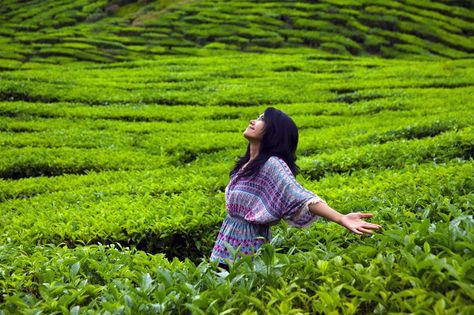 Women need to work on becoming resilient and comfortable with failure INSTEAD OF spending time seeking perfection. Mountain Photo Ideas, Cameron Highlands Malaysia, Travel Pose, Travel Infographic, Tea Estate, Cameron Highlands, Travel Pictures Poses, Blog Pictures, Happy Woman