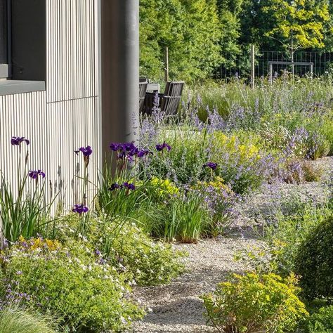 Charlotte Rowe on Instagram: "One of my favourites- a long gravel bed at the large garden in Oxfordshire we made a few years ago, a contemporary house with some strong lines and finishes which needed softening around the edges. #garden #gardendesign #gardebdesigner #landscapedesign #landscapedesigner #makinglandscape #countrygarden #countrylife #countryliving #gravel #gravelplanting #charlotterowegardendesign #designteam included Charlotte Rowe Juliet Hutt Tomoko Kawauchi #landscaping @bowleswye Charlotte Rowe, Gravel Gardens, Gravel Path, Gravel Garden, Large Garden, Old Trees, Country Garden, Natural Garden, Country Gardening