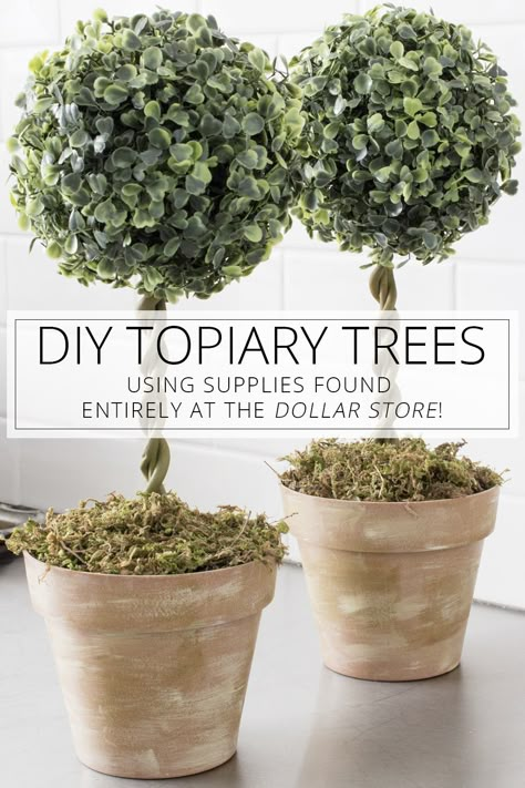 Diy Topiary Trees, Diy Topiary, Diy Home Decor For Apartments, Diy Event, Topiary Trees, Cactus Decor, Garden Types, Diy Dollar Store Crafts, Diy Hanging