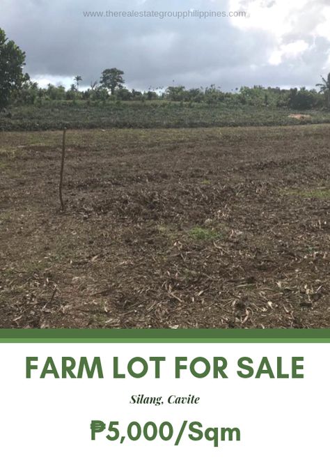 FOR SALE:  Farm Lot at Silang Cavite City 3 minutes away to Aguinaldo Highway 5-10minutes away to Tagaytay Rotanda Along the road Lot area: 9040sqm  For: 5000/Sqm  Under PRC # 18631  Thess Calonge-Loria The Real Estate Group Philippines  https://buff.ly/2GEvA4k 1000pesos Philippines, Squatter Area Philippines, Farm Lot Philippines, Silang Cavite, Cavite City, Manananggal Philippines, Albay Philippines Tourist Spots, Tagaytay, Philippines