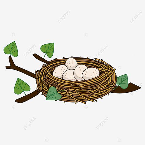 bird nest,bird's nest on branch,nest,clipart,bird egg,leaf,branches and stems,a few bird eggs Nest Drawing, Nest Illustration, Robin Drawing, Nest Images, Bunny Coloring, Egg Pictures, Hindi Alphabet, Nest Art, Alphabet Kindergarten