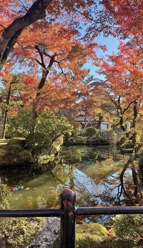 Japan In Autumn Aesthetic, Japanese Fall Wallpaper, Japanese Fall Aesthetic, Fall In Japan Aesthetic, Japanese Autumn Aesthetic, Japan Aesthetic Autumn, Japan In The Fall, Japan Lifestyle Aesthetic, Japan Autumn Aesthetic