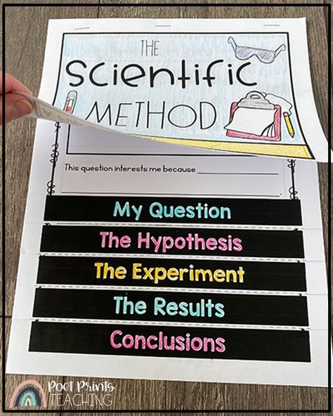 Scientific Method 3rd Grade, 3rd Grade Lessons, Third Grade Science Projects, Scientific Method Anchor Chart, 3rd Grade Science Experiments, Scientific Method Elementary, Amplify Science, Scientific Method Experiments, Scientific Method Activities