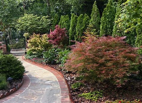 Planting For Privacy, Landscape Front Yard, Villa Architecture, Privacy Plants, Privacy Landscaping, Living Fence, Southern Garden, Plans Architecture, Landscape Design Plans