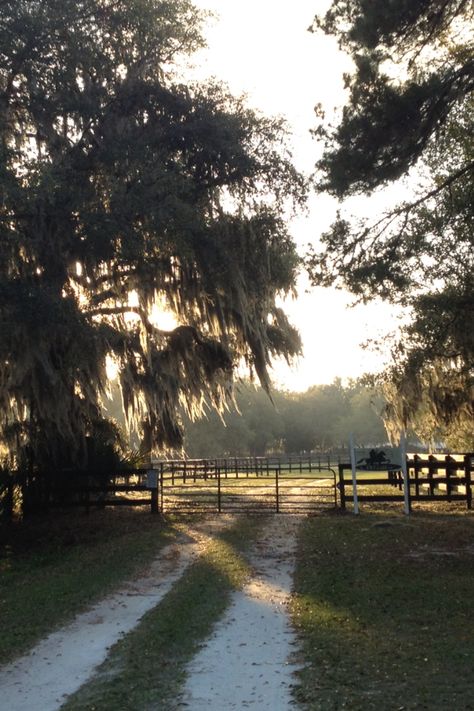 Farm Rural Farm Aesthetic, Old Farm Life Aesthetic, Old Farm Astethic, Farm Near The Beach, Old Farm Photography, Florida Farm, Fake Boyfriend, Farm Photos, Blue Shutters