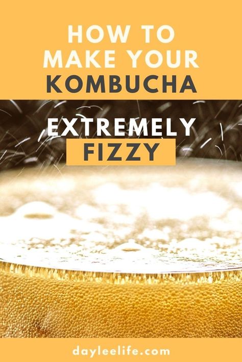 Kombucha Flavors Recipes, Diy Kombucha, Kombucha Flavors, Kombucha Scoby, How To Brew Kombucha, Kombucha Recipe, Homemade Kombucha, Homebrew Recipes, Probiotic Drinks