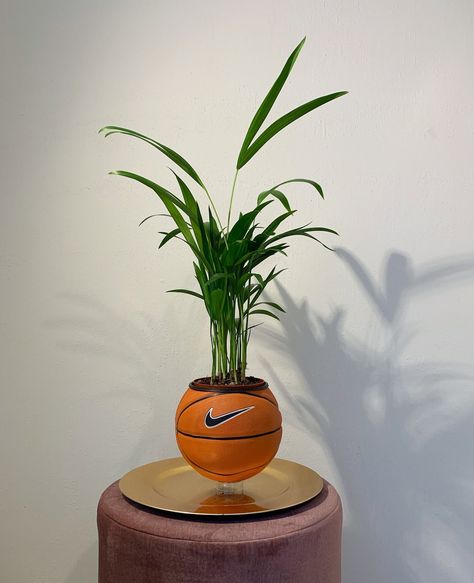 This Indoor Planters item by BasketballPlant has 367 favorites from Etsy shoppers. Ships from The Netherlands. Listed on Aug 31, 2023 Custom Postcards, Love And Basketball, Acrylic Display, Self Watering, Nike Basketball, Indoor Planters, The Netherlands, Netherlands, How To Look Better