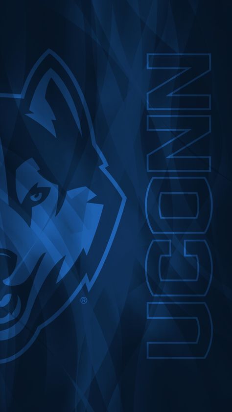 Uconn Womens Basketball Wallpaper, Husky Logo, Uconn Womens Basketball, Paige Bueckers, Eating Before Bed, Uconn Huskies, University Of Connecticut, Wallpapers Android, Dream College