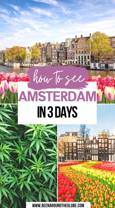 Amsterdam Places To Visit, Amsterdam Sights, Amsterdam Things To Do, Amsterdam What To Do, What To Do In Amsterdam, 3 Days In Amsterdam, Europe In November, Amsterdam Winter, Amsterdam Guide