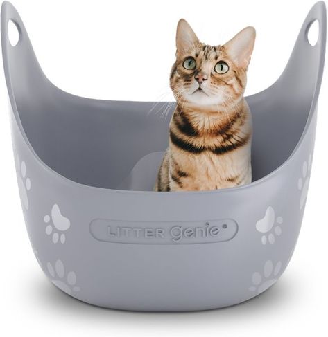 Litter Genie, Enclosed Litter Box, Best Litter Box, Best Cat Litter, Cat Info, Kitten Rescue, Litter Tray, Cat Box, Old Cats