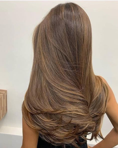 Ladies Hairstyles, Breaking Hair, Brown Hair Looks, Brown Hair Inspo, Brunette Hair With Highlights, Brown Hair Balayage, Hair With Highlights, Healthy Hair Tips, Brown Blonde Hair