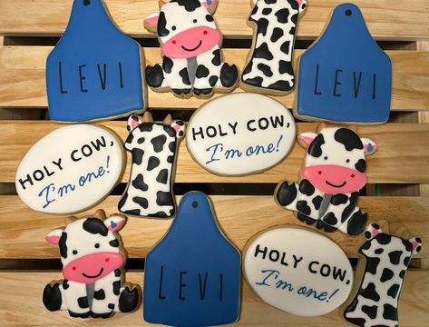 HOLY COW, I’m one! #holycow #firstbirthday #cookies #cow Wholly Cow Im One, Cow First Birthday Cookies, Holy Cow I’m One Birthday Party, Holy Cow Im One Birthday Boy, Holy Cow I’m One Decorations, Holy Cow I’m One Treats, Holy Cow I’m One, Holy Cow Im One, First Birthday Theme Boy