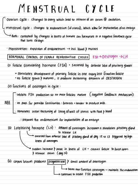 Life Science Grade 12 Notes, Life Sciences Study Notes Grade 12, Bio Flashcards, Human Reproduction Notes, Reproduction Notes, Pharmacology Nursing Study, Igcse Biology, Human Reproduction, Biochemistry Notes